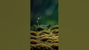قرأن كريم بصوت القارئ شيخ عبد الرحمان مسعد 