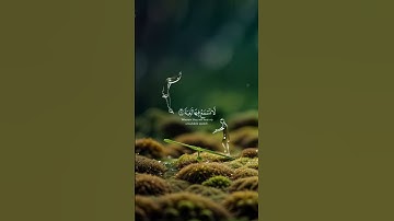 قرأن كريم بصوت القارئ شيخ عبد الرحمان مسعد