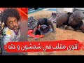 مايد الانصاري       اقوى مقلب في شمشون و حته     سمعها