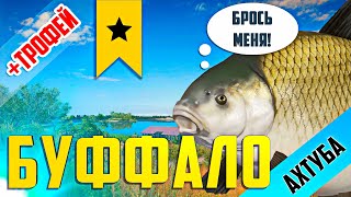Русская Рыбалка 4 - РР4| ТРОФЕЙ БУФФАЛО + САЗАН, АМУР | р. Ахтуба