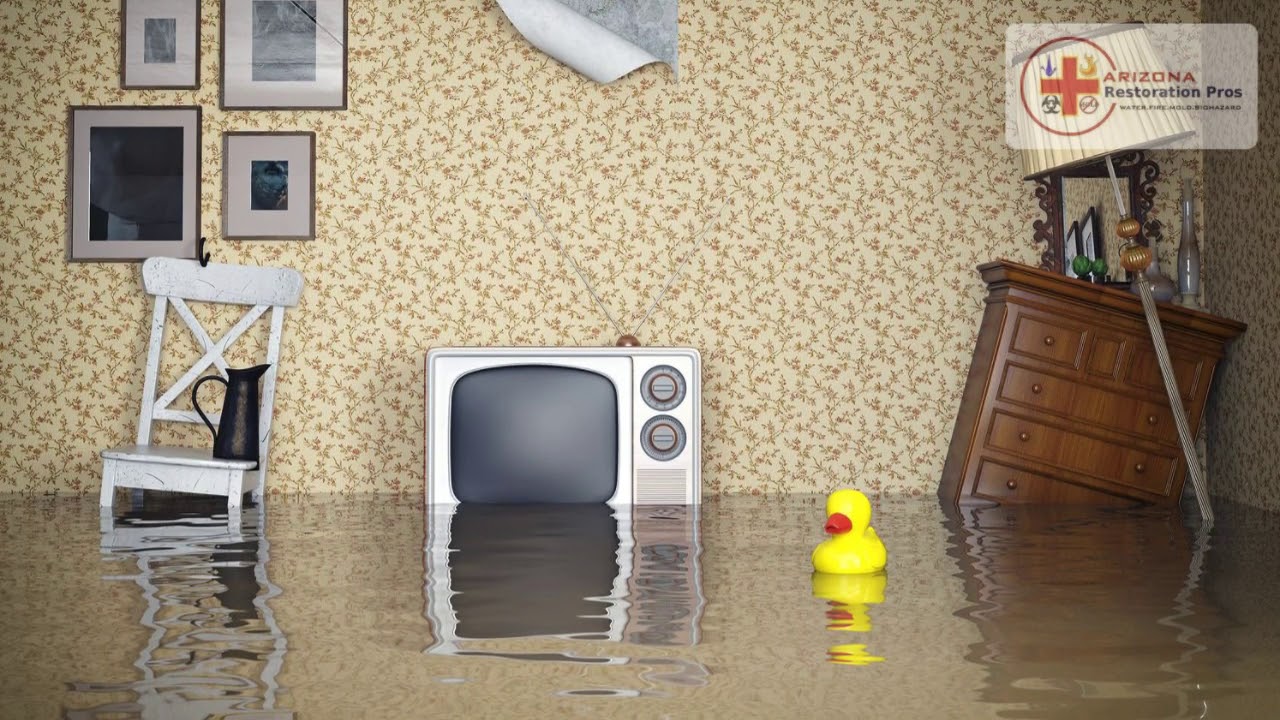 Trusted Water Damage Restoration in Tucson, AZ | (520) 282-5201