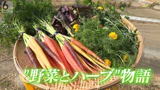 【こだわり農法】苦手でもパクパク“野菜とハーブ”物語　兵庫･淡路市【わが街ええもん物語】