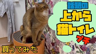 【アイリスオーヤマ】オススメの上から猫トイレを買ったら猫がオマルと勘違いしました。