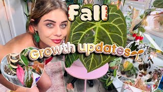 Houseplant Growth Updates! 🪴 