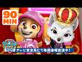 パウ・パトロール | スウィーティーがお姫さま気分👸90分！スカイ登場｜パウ・パトロール | テレビ東京系にて放送中