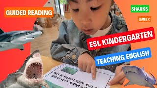 Kids ESL English Lesson. Guided Reading Sharks Level C | Teaching Tips and Ideas Predictable Reader