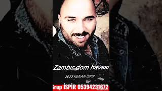 Orta Oyun Zammir 2023