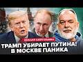 ⚡️ШЕЙТЕЛЬМАН: Трамп ДОБИЛ этим решением Путина! Вот, что ПООБЕЩАЛ Киеву!