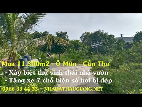 Video KHU SINH THÁI 11.300M2 MẶT TIỀN QUỐC LỘ 91 - 16.5 tỷ -... - YouTube