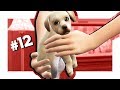 The Sims 4 Кошки и собаки #12 Продаем щенка?!