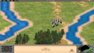 Age of Empires 2 HD - Joan of Arc - Mission 6 - A perfect Martyr [WONDER METHOD]