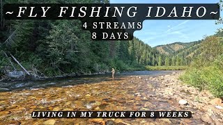 Idaho is a must visit - A look at 4 streams in 8 days - A fly fishing/truck camping adventure!