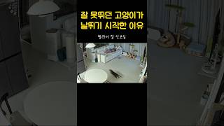 마지막이 포인트
