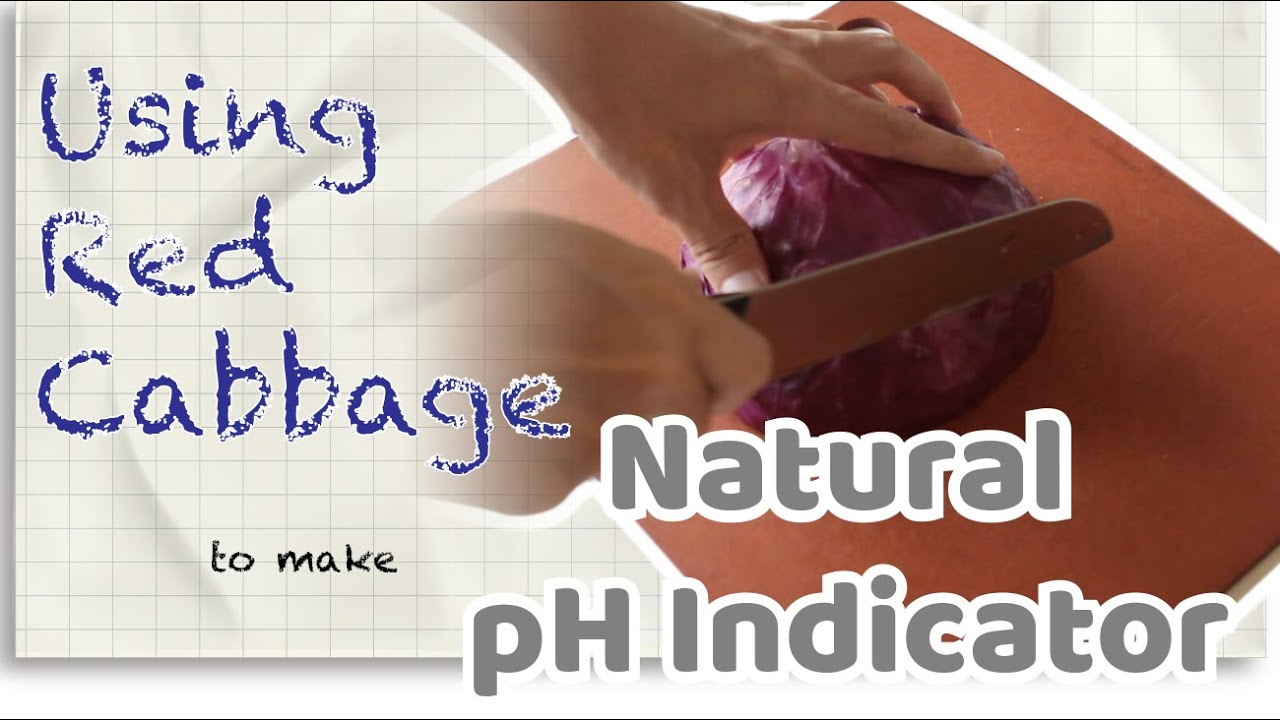 Making natural pH indicator at home! YouTube