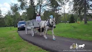 Elegant entrance to their final resting place – Horse Drawn Carriage – Funeral Coach 62