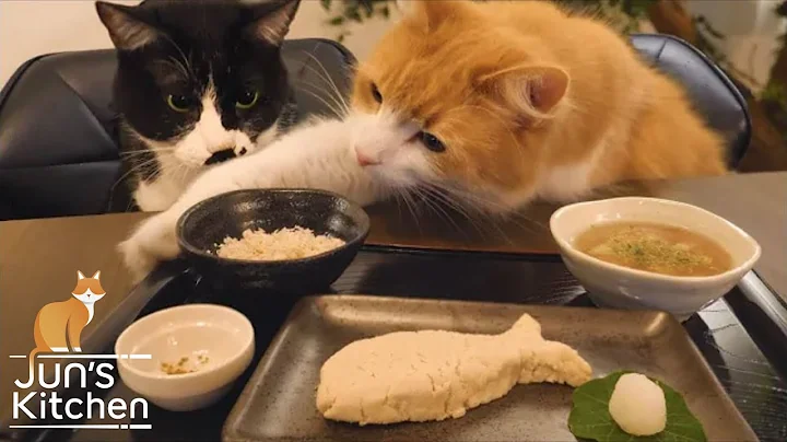 Japanese meal for cats - DayDayNews