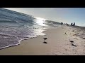 Dauphin island west end public beach dauphin island alabama  october 2023