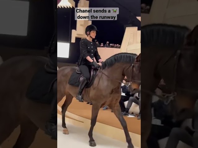 Horse Steals the Spotlight at Chanel Fashion Show