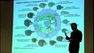 Francisco Ayala: Darwin in the 21st Century: Nature, Humanity, and God