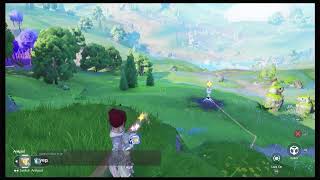 Broke glitch