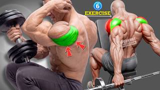 6 Best Exercises to Build Rear Delt