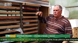 Un Fermier Din Horești Usucă Eco Fructele