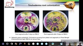 Trichoderma Introduction & Function