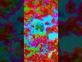JPEG Quantization Tables