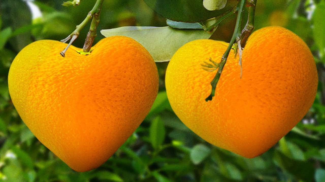 20 TRUCOS CON FRUTAS QUE NO CREERÁS