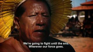 A Last Stand for the Xingu