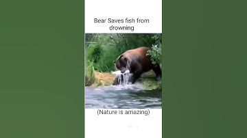Daily mèmes for you pt.261 | #memes #funnymemes #dailymemes #trending #viral #shorts