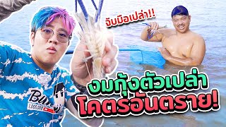 ครัวจ๊วดจ๊วด: งมกุ้งกลางแม่น้ำเจ้าพระยา | Bank Pii