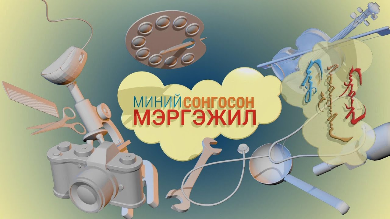 Миний сонгосон мэргэжил: 
