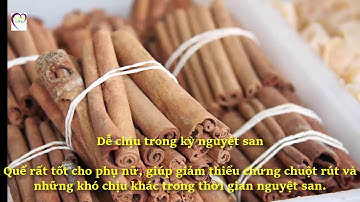 Bài thuốc dân giân chữa bệnh cực kỳ hiệu quả từ Lá Trầu Không