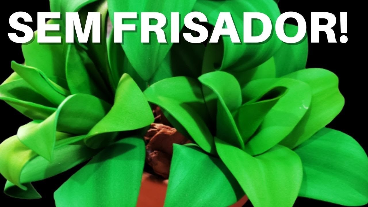 SUCULENTA AGAVE EM E.V.A!!!