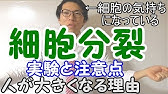 中学理科 生物の増え方 有性生殖と無性生殖 2 3 中3理科 Youtube 中学理科 生物の増え方 有性生殖と無性生殖 2 3 中3理科 Youtube