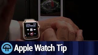 Tame "Now Playing" on Apple Watch