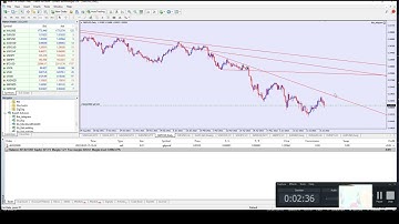 BOT gửi tín hiệu tự động từ MT4 lên groupTelegram - Nam Phạm
