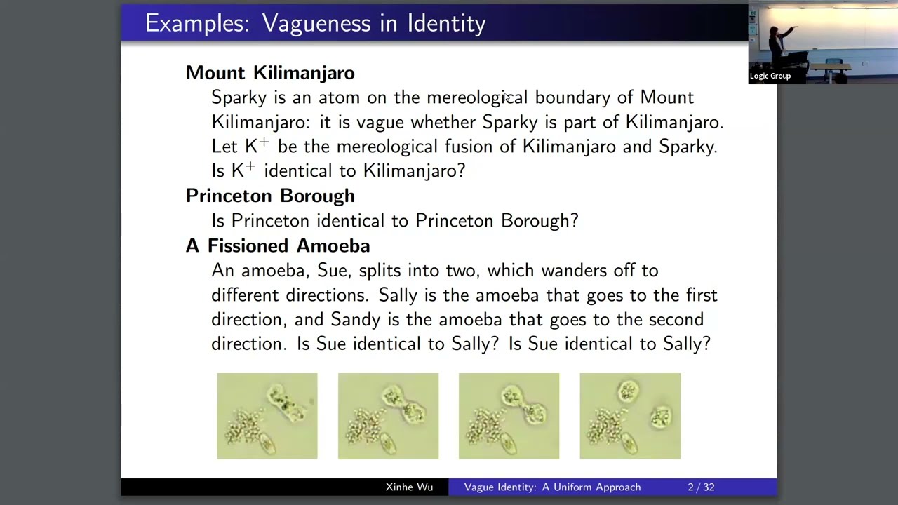 Xinhe Wu — Vague Identity: A Uniform Approach
