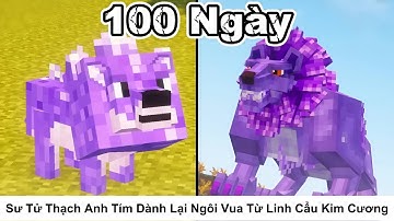 Tóm Tắt 100 Ngày || Sư Tử Thạch Anh Tím Dành Lại Ngôi Vua Từ Linh Cẩu Kim Cương