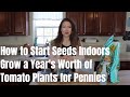 How to Start Tomato Seeds -Avoid these Seed Starting Mistakes