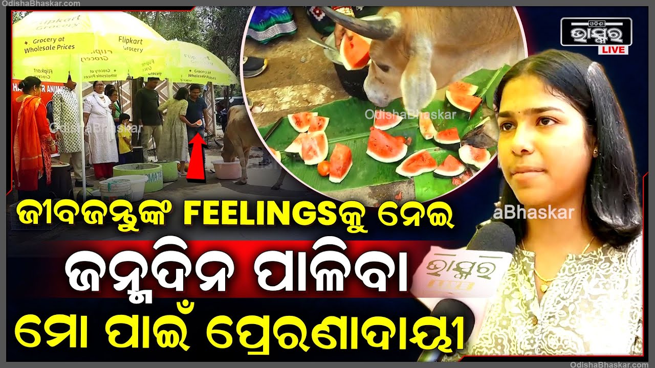 ନିଆରା ଢଙ୍ଗରେ ନିଜ ପରିବାରବର୍ଗଙ୍କୁ ନେଇ ଜୀବ ଜନ୍ତୁଙ୍କ ସହ ଜନ୍ମଦିନ ପାଳିଲେ ଯୁବତୀ...