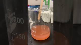 Strawberry DNA extraction lab part 2