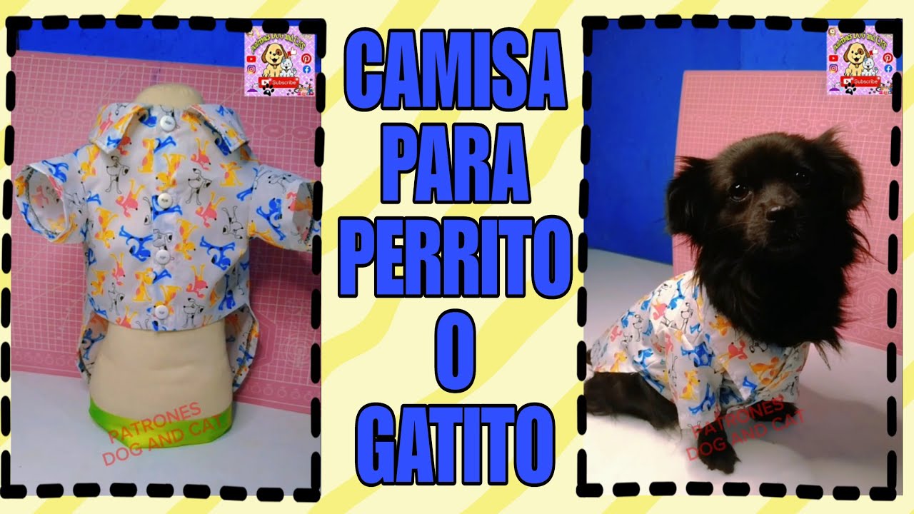 PERRITO - ROPA PARA - YouTube