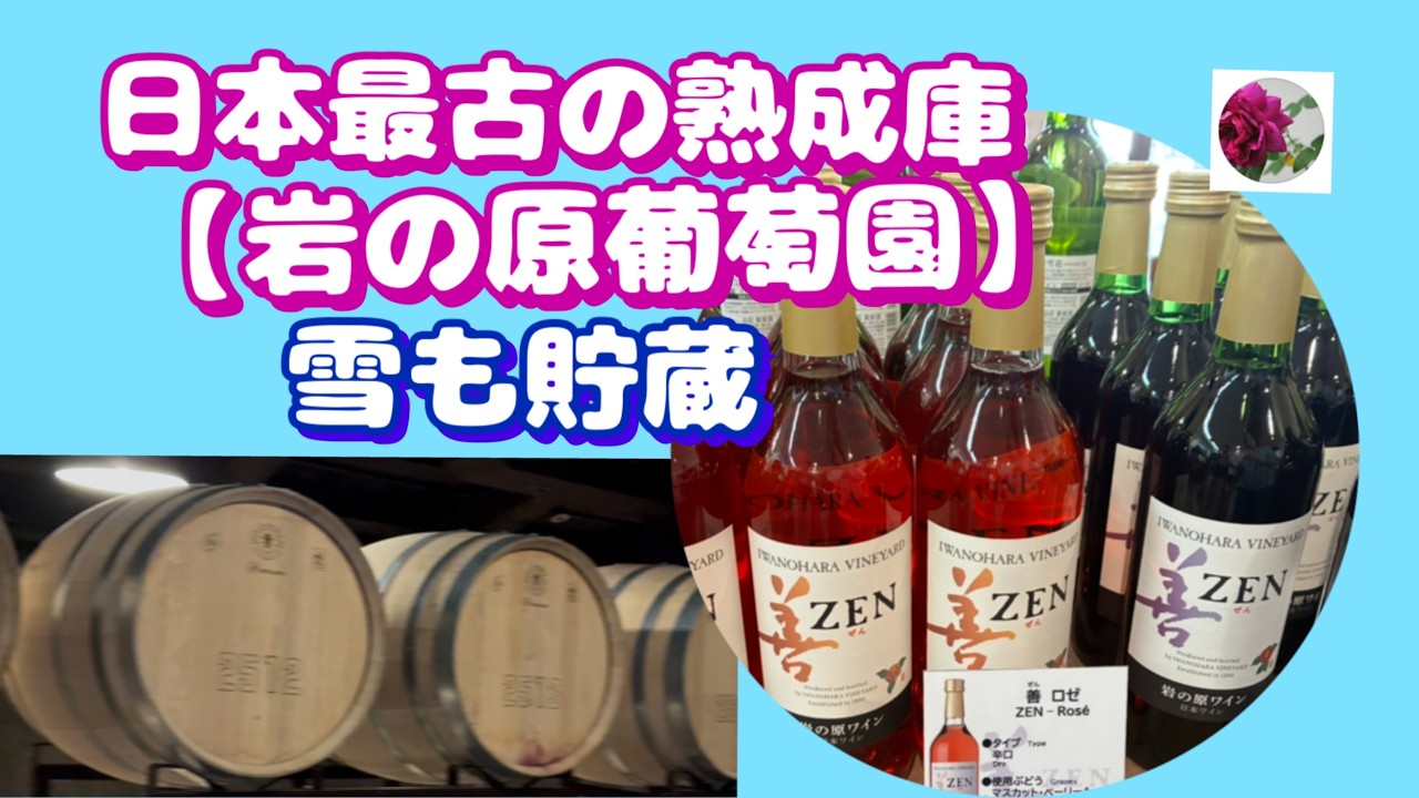 🌹🍷日本最古の岩の原葡萄園のワインと雪の貯蔵庫Iwanohara Vineyard