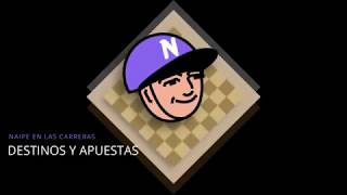 02 Naipe en las Carreras |  Destinos y apuestas screenshot 4