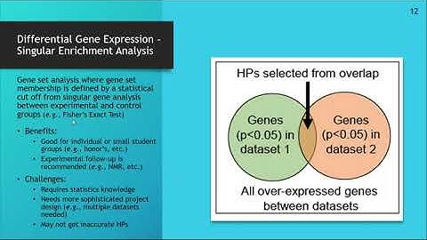EDUCATIONAL BIOINFORMATICS PROJECT TO IMPROVE GENOME ANNOTATION #INTERNATIONALWEBINAR