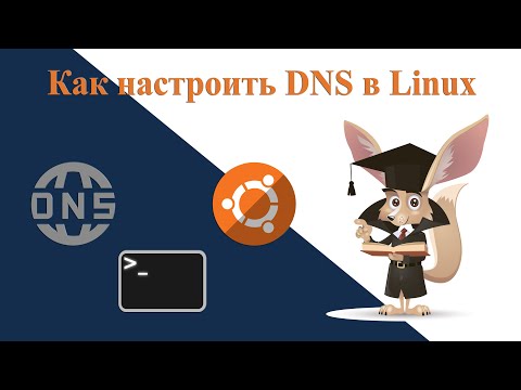 Как настроить DNS в Linux