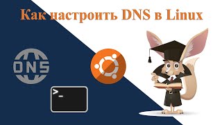 Как настроить DNS в Linux