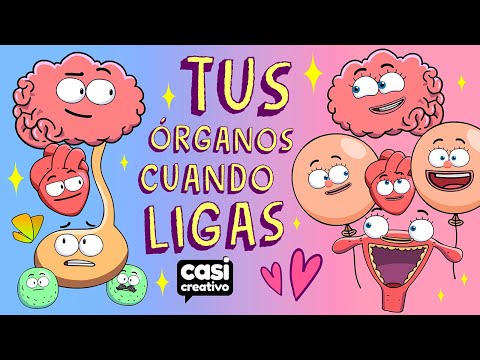 Video: Los cómicos hilarantes representan la vida antes y después de tener un perro